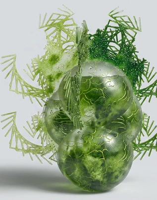 Green form cluster